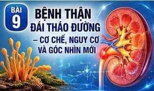 CORDYCEPIN VÀ VIÊM MẠN TÍNH MỨC ĐỘ THẤP – “NGỌN LỬA ÂM Ỉ” ĐẰNG SAU BỆNH ĐÁI THÁO ĐƯỜNG