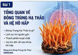 dong-trung-ha-thao
