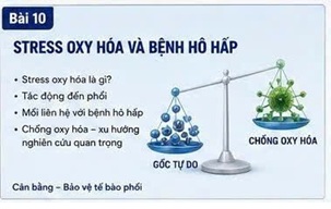 ĐÔNG TRÙNG HẠ THẢO VÀ BỆNH PHỔI DO HÚT THUỐC LÁ: TỔNG HỢP CÁC NGHIÊN CỨU KHOA HỌC HIỆN ĐẠI