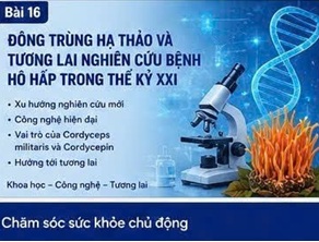 đông trùng hạ thảo và bênh hô hất