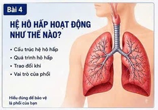 ĐÔNG TRÙNG HẠ THẢO VÀ BỆNH PHỔI TẮC NGHẼN MẠN TÍNH (COPD): TỔNG HỢP CÁC NGHIÊN CỨU HIỆN ĐẠI
