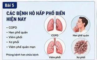 đ&ocirc;ng tr&ugrave;ng hạ thảo kimsoha