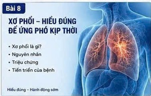 ĐÔNG TRÙNG HẠ THẢO VÀ XƠ PHỔI: CÁC CÔNG TRÌNH NGHIÊN CỨU ĐÃ CÔNG BỐ NÓI GÌ?