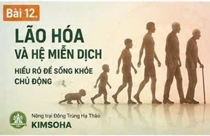 MIỄN DỊCH SAU HÓA TRỊ, XẠ TRỊ VÀ CÁC HƯỚNG NGHIÊN CỨU HỖ TRỢ HIỆN NAY
