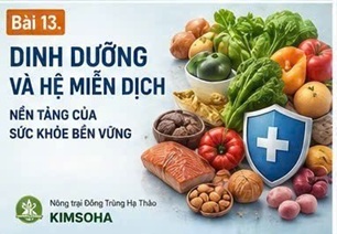 HỆ VI SINH ĐƯỜNG RUỘT VÀ MIỄN DỊCH: MỐI LIÊN HỆ ĐƯỢC QUAN TÂM TRONG THẾ KỶ XXI