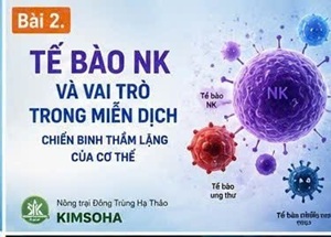 SUY GIẢM MIỄN DỊCH LÀ GÌ? NHỮNG DẤU HIỆU CẢNH BÁO SỚM CẦN BIẾT