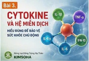 MIỄN DỊCH BẨM SINH VÀ MIỄN DỊCH THÍCH NGHI: HAI TUYẾN PHÒNG THỦ QUAN TRỌNG CỦA CƠ THỂ