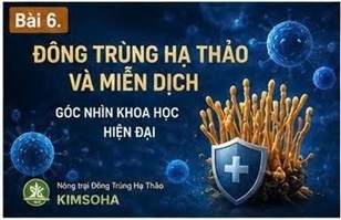 STRESS OXY HÓA VÀ SUY GIẢM MIỄN DỊCH: MỐI LIÊN HỆ ÍT NGƯỜI BIẾT