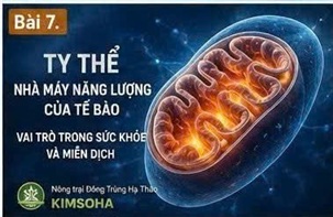 CYTOKINE LÀ GÌ? VAI TRÒ TRONG HỆ MIỄN DỊCH VÀ CÁC CÔNG TRÌNH NGHIÊN CỨU MỚI