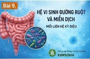 TUỔI TÁC VÀ SUY GIẢM MIỄN DỊCH: NHỮNG THAY ĐỔI SINH HỌC THEO THỜI GIAN