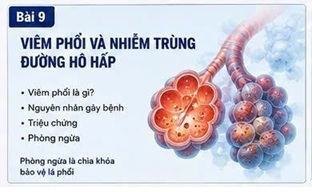 ĐÔNG TRÙNG HẠ THẢO VÀ SỨC KHỎE PHẾ NANG: VAI TRÒ CỦA STRESS OXY HÓA TRONG BỆNH PHỔI