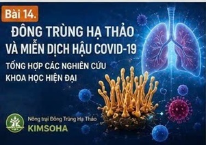 ĐÔNG TRÙNG HẠ THẢO VÀ MIỄN DỊCH HẬU COVID-19: TỔNG HỢP CÁC NGHIÊN CỨU KHOA HỌC HIỆN ĐẠI