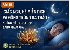 GIẤC NGỦ, HỆ MIỄN DỊCH VÀ ĐÔNG TRÙNG HẠ THẢO: NHỮNG ĐIỀU KHOA HỌC ĐANG KHÁM PHÁ