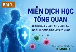 TỔNG QUAN VỀ HỆ MIỄN DỊCH VÀ VAI TRÒ CỦA ĐÔNG TRÙNG HẠ THẢO TRONG NGHIÊN CỨU HIỆN ĐẠI